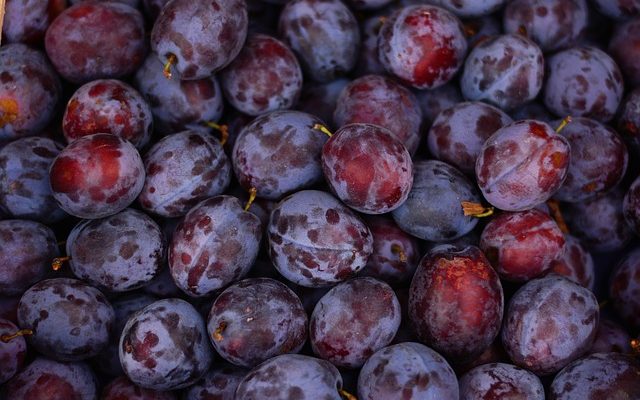 Quelles sont les différentes variétés de prunes ?