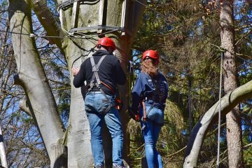 Règlement sur les harnais de sécurité de l'OSHA