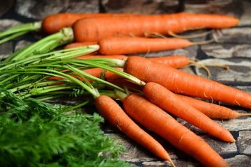 Comment congeler des carottes sèches et congelées