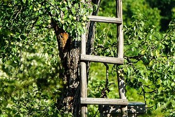 Comment construire des volets intérieurs en bois