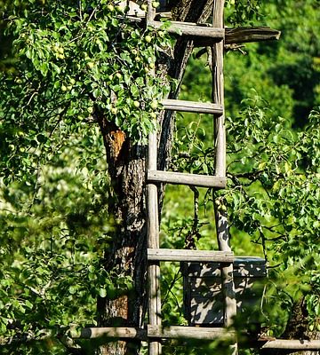 Comment construire des volets intérieurs en bois