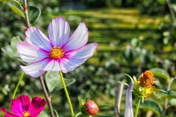 Comment démonter un abri de jardin