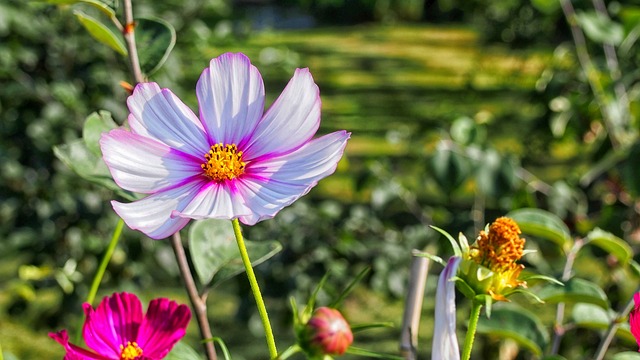 Comment démonter un abri de jardin