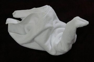 Comment plier les serviettes Swan Napkins