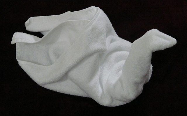 Comment plier les serviettes Swan Napkins