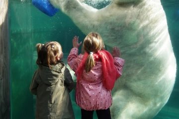 Comment prédire la taille adulte d'un enfant