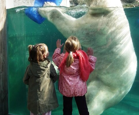 Comment prédire la taille adulte d'un enfant