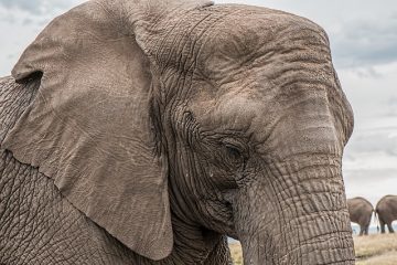 Comment se débarrasser des rides du froncement des sourcils autour de la bouche