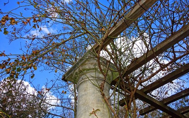 Idées pour un toit pergola