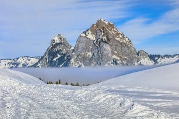 Où trouver de grands rochers pour l'aménagement paysager