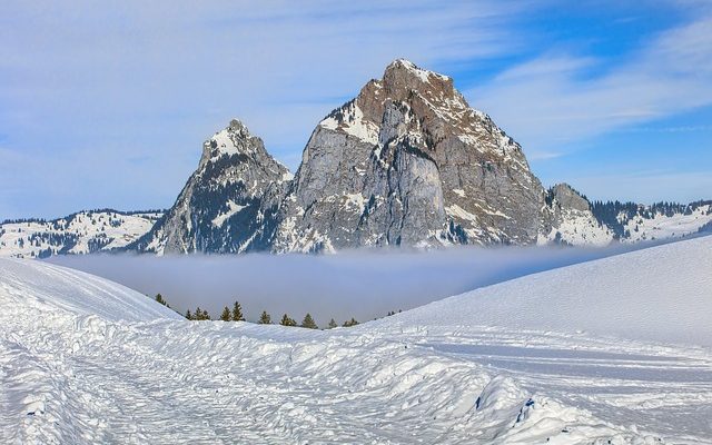 Où trouver de grands rochers pour l'aménagement paysager