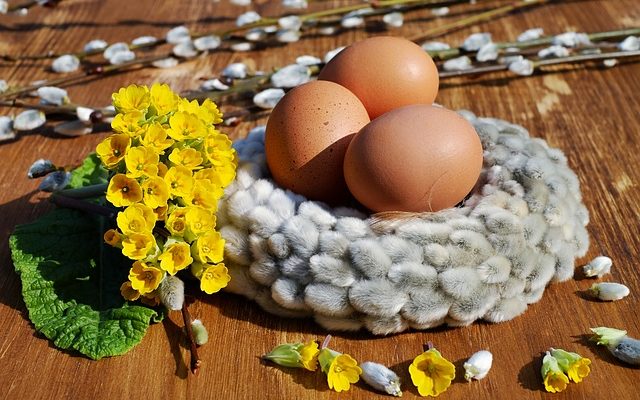 Quelle est la durée de vie des œufs d'oie ?