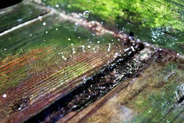 Comment sécher le bois de chauffage au séchoir