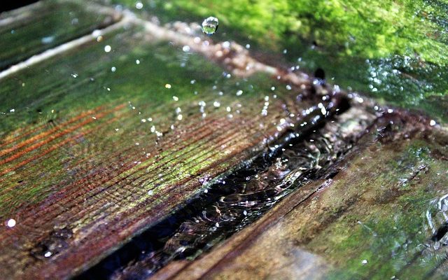 Comment sécher le bois de chauffage au séchoir