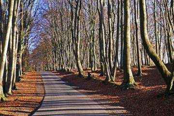 Comment utiliser le bois d'œuvre paysager sur un terrain en pente