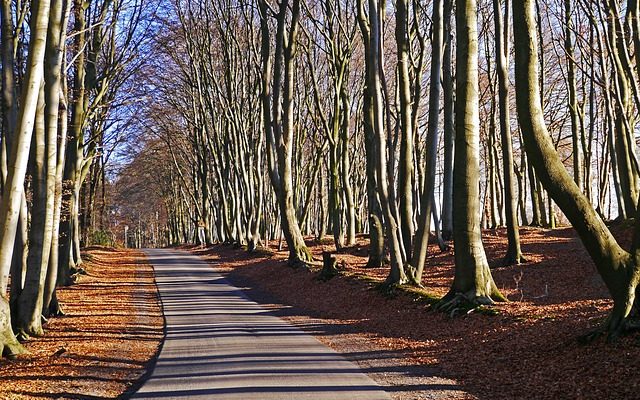 Comment utiliser le bois d'œuvre paysager sur un terrain en pente