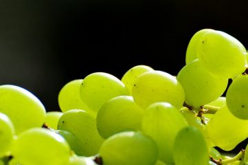 Concentré de fruits ou Extrait