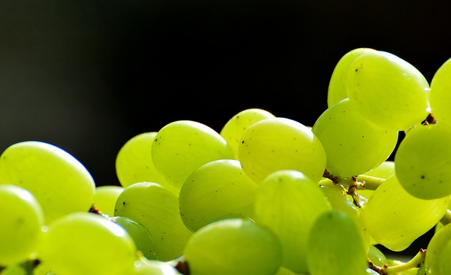 Concentré de fruits ou Extrait