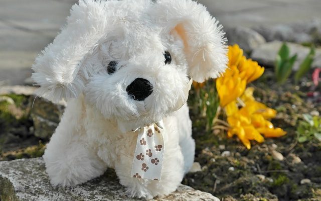 De bons chiens pour les enfants autistes