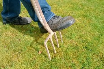 Des façons simples de couper la mousse pour les boîtes à outils.