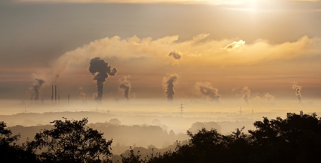 Effets de l'inhalation des gaz d'échappement