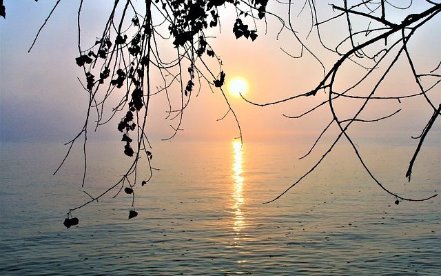 Idées de thème de plage de chambre à coucher d'adolescent