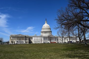 Les inconvénients de la démocratie représentative