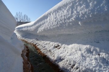 Qu'est-ce que le Travertine Honed Filled Travertine ?