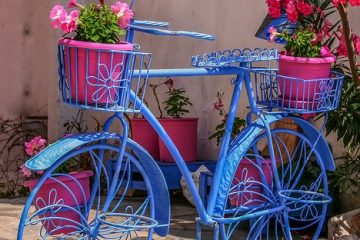 Qu'est-ce qu'une plante traînante à fleurs violettes ?