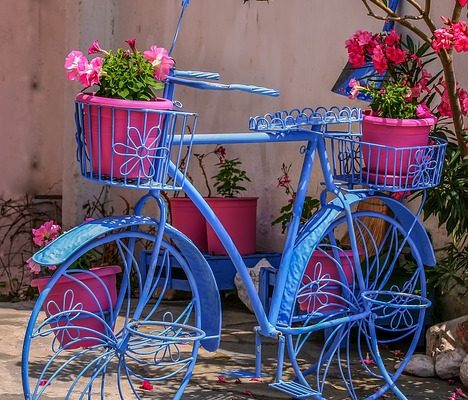 Qu'est-ce qu'une plante traînante à fleurs violettes ?