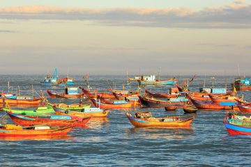 Variétés de réservoirs de poissons d'eau froide