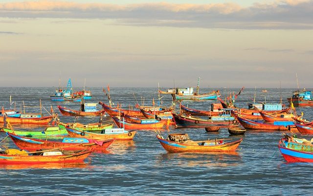 Variétés de réservoirs de poissons d'eau froide