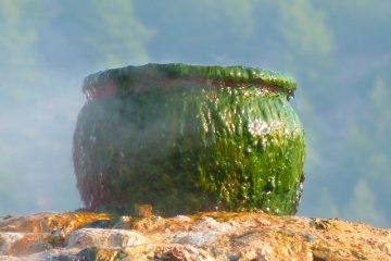 Comment cuire le riz dans un cuiseur vapeur à légumes