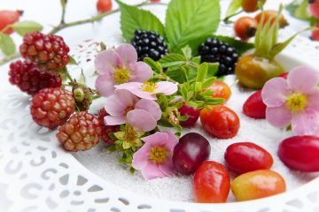 Comment cultiver des tomates en culbutant