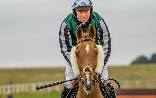 Comment entraîner un cheval pour ne pas s'adosser sur le bit