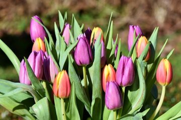 Comment envelopper un bouquet noué à la main