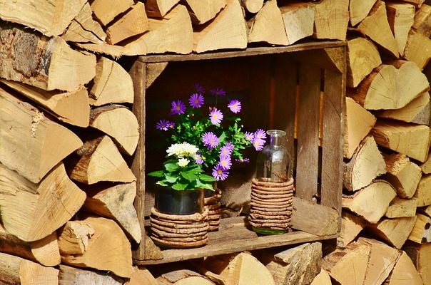 Comment faire pousser des tilleuls Kaffir à l'intérieur.