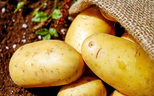 Comment réchauffer des pommes de terre gratinées au gratin