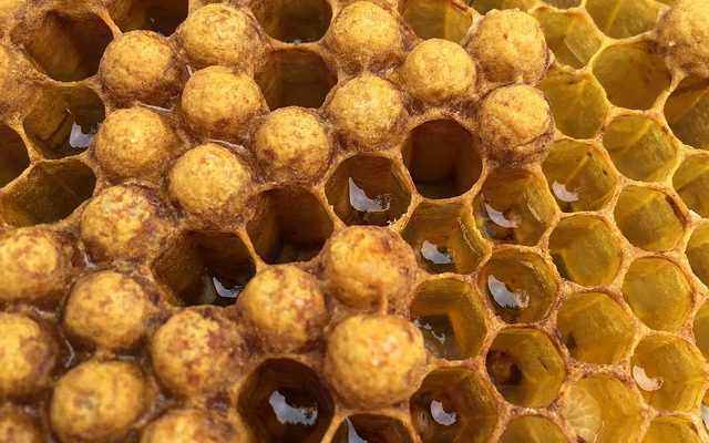 Comment retirer les abeilles d'une cheminée