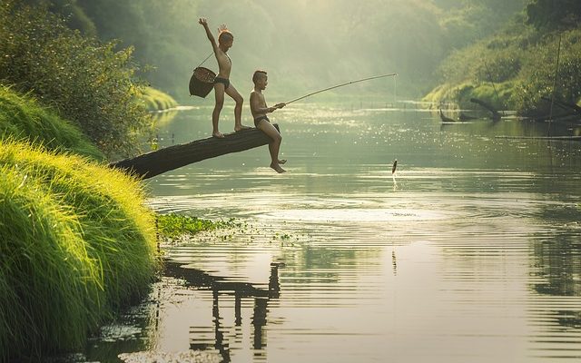 Comment se débarrasser de l'odeur de poisson à la maison