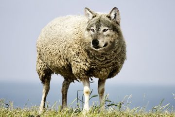 Comment traiter les mains, les pieds, les genoux et les coudes foncés ?