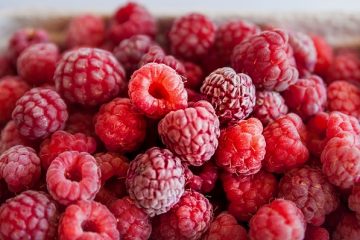 Effets secondaires des feuilles de framboise