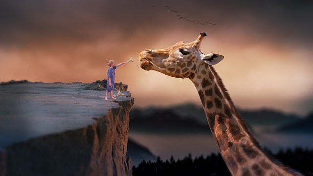 Faits sur les girafes pour les enfants