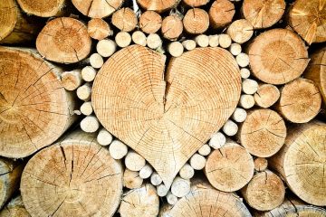 Idées d'artisanat avec des coeurs en bois