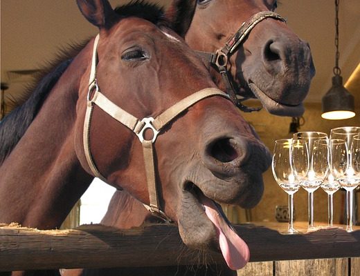 Idées de nourriture pour une fête d'anniversaire de cow-boy