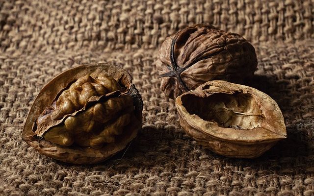 Aliments pour le cerveau pour les examens