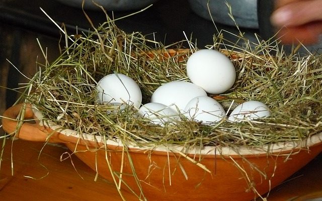 Comment construire une structure avec des pailles à boire