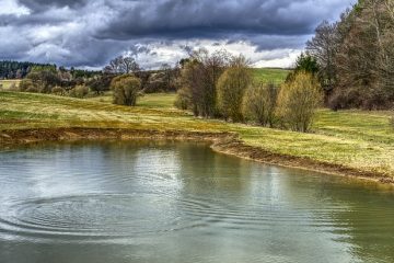 Comment contrôler les niveaux d'eau dans les étangs