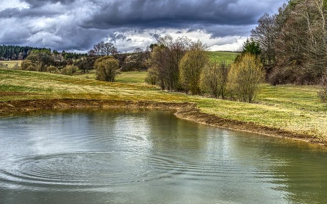 Comment contrôler les niveaux d'eau dans les étangs