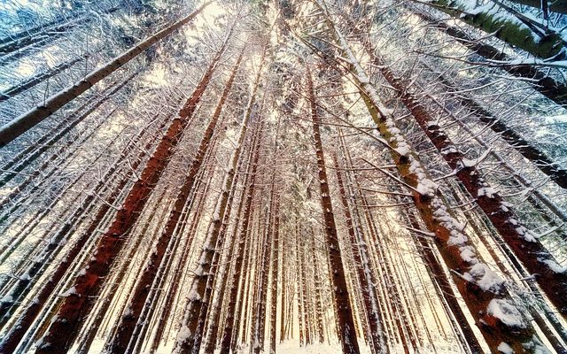 Comment couper un angle de 90 degrés dans le bois